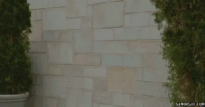 Life hitting you like a wall